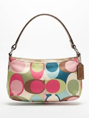Multicolor Gorgeous Canva Shoulder  Hand Bag